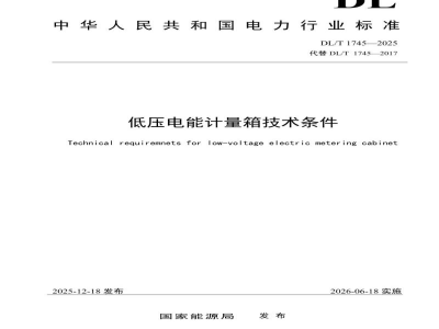 DL/T 1745—2025 低压电能计量箱技术条件