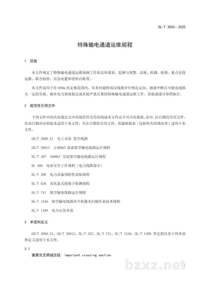 DL/T 3002—2025 特殊输电通道运维规程 DL/T 3002—2025 特殊输电通道运维规程