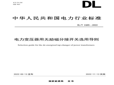 DL/T 2485—2022 电力变压器用无励磁分接开关选用导则