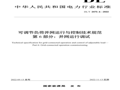 DL/T 2473.6—2022 可调节负荷并网运行与控制技术规范 第6部分：并网运行调试