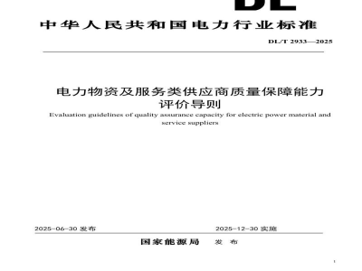DL/T 2933—2025 电力物资及服务类供应商质量保障能力评价导则
