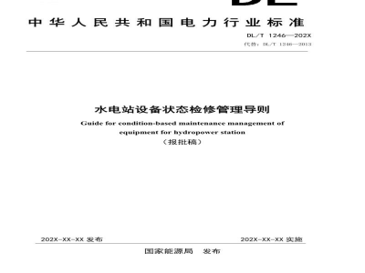 DL/T 1246—2024 水电站设备状态检修管理导则