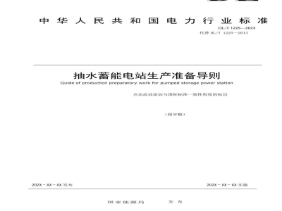 DL/T 1225—2024 抽水蓄能电站生产准备导则