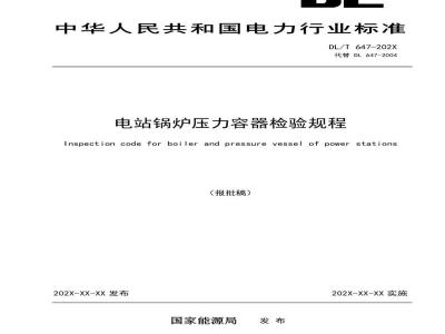DL/T 647—2024 电站锅炉压力容器检验规程