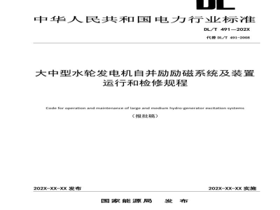 DL/T 491—2024 大中型水轮发电机自并励励磁系统及装置运行和检修规程