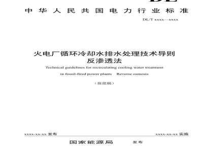 DL/T 2689—2023 火电厂循环冷却水排水处理技术导则  反渗透法