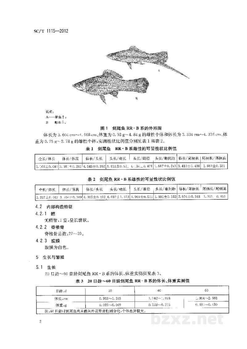 SC/T 1115-2012剑尾鱼RR-B系 SC/T 1115-2012剑尾鱼RR-B系