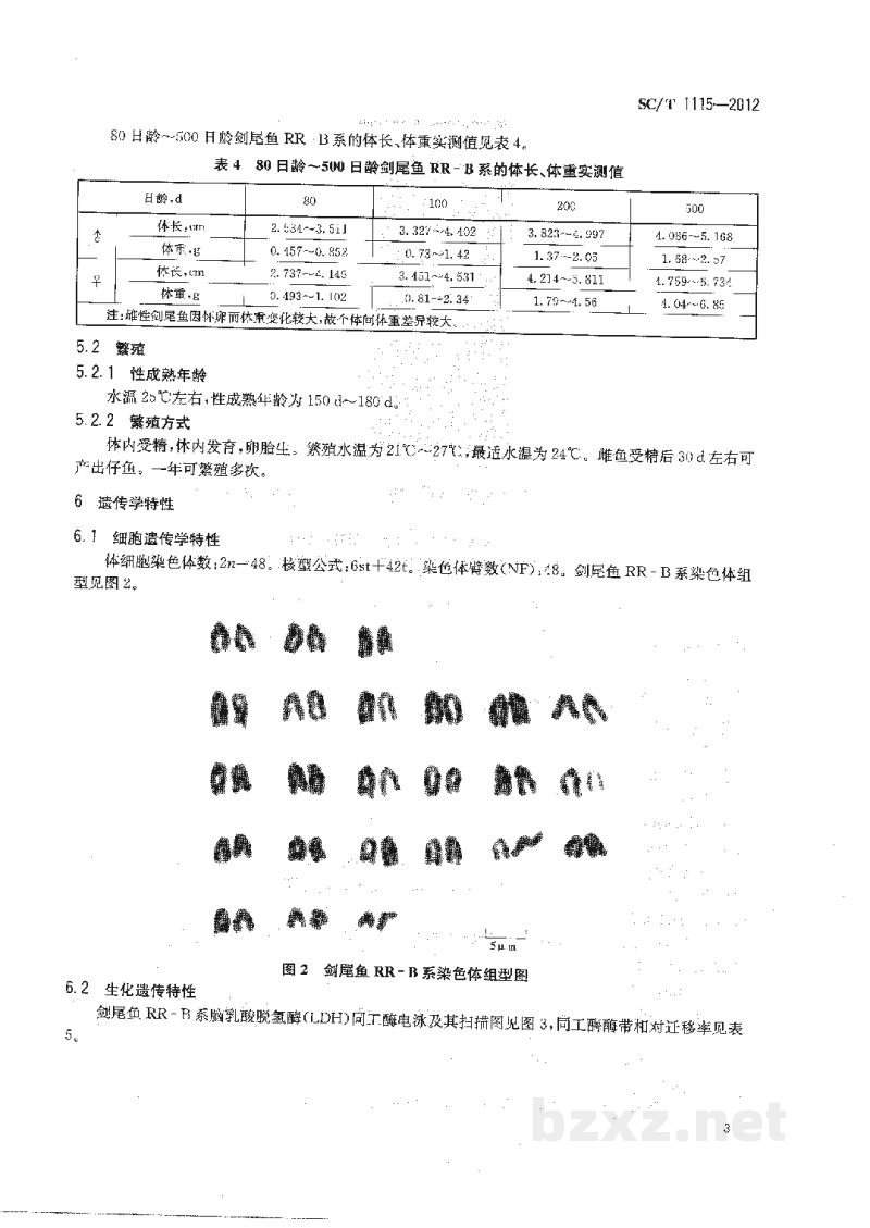 SC/T 1115-2012剑尾鱼RR-B系 SC/T 1115-2012剑尾鱼RR-B系