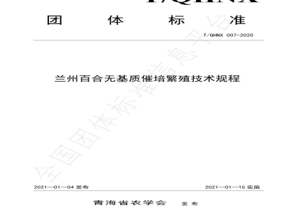 T/QHNX 007-2020兰州百合无基质催培繁殖技术规程