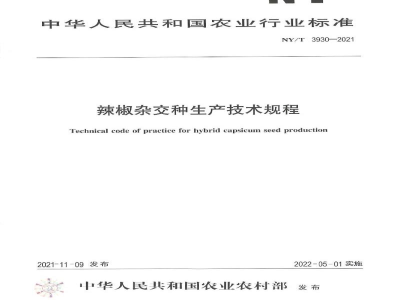 NY/T 3930-2021辣椒杂交种生产技术规程