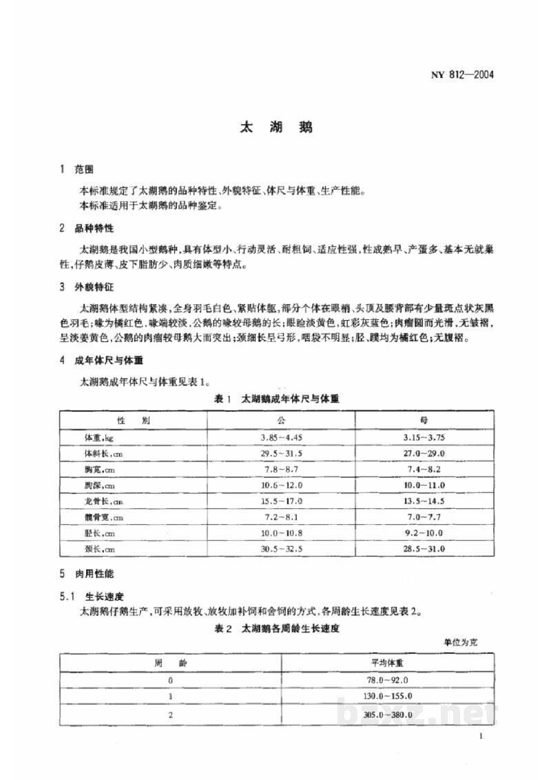 NY 812-2004太湖鹅 NY 812-2004太湖鹅