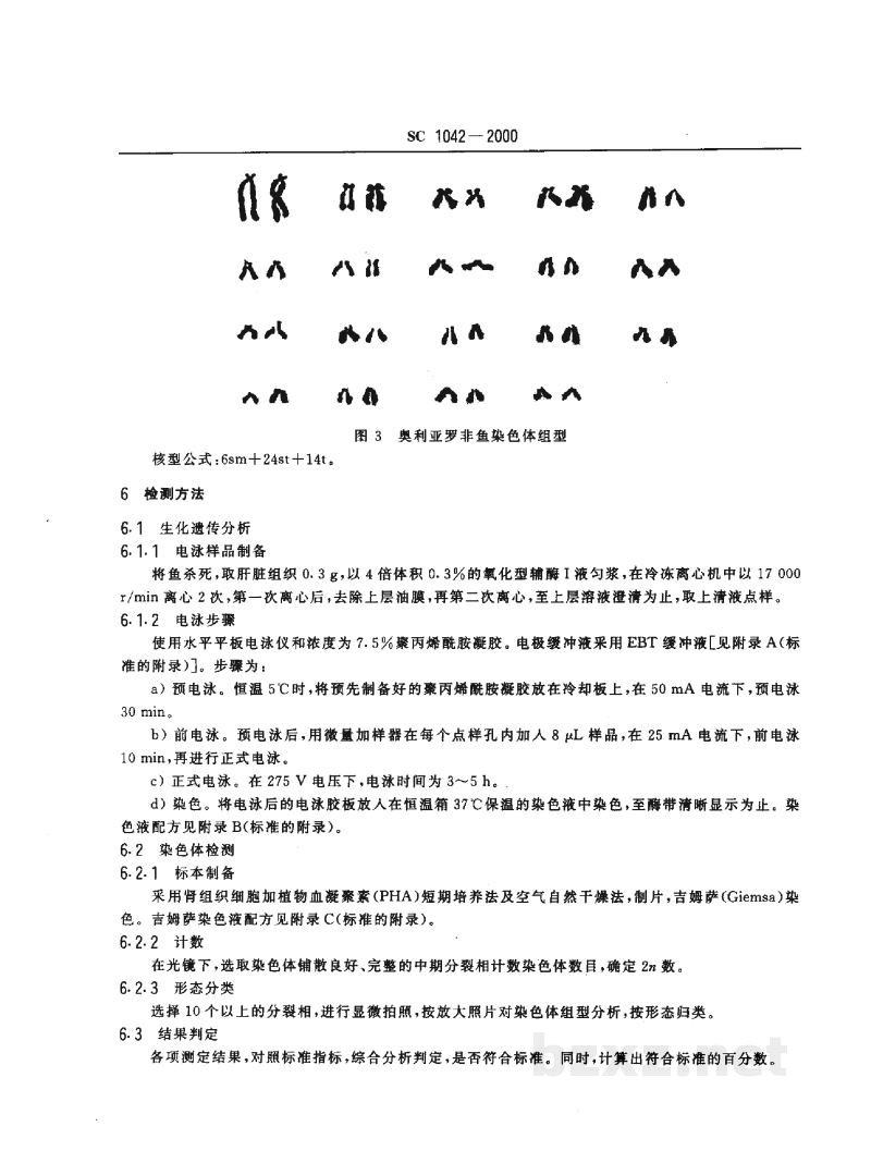 SC 1042-2000奥利亚罗非鱼 SC 1042-2000奥利亚罗非鱼