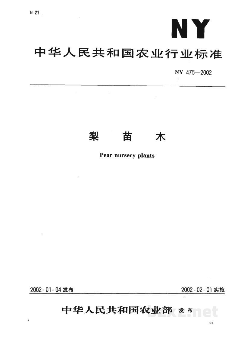 NY 475-2002梨苗木 NY 475-2002梨苗木