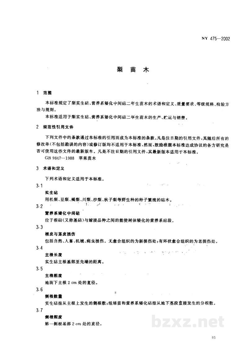 NY 475-2002梨苗木 NY 475-2002梨苗木