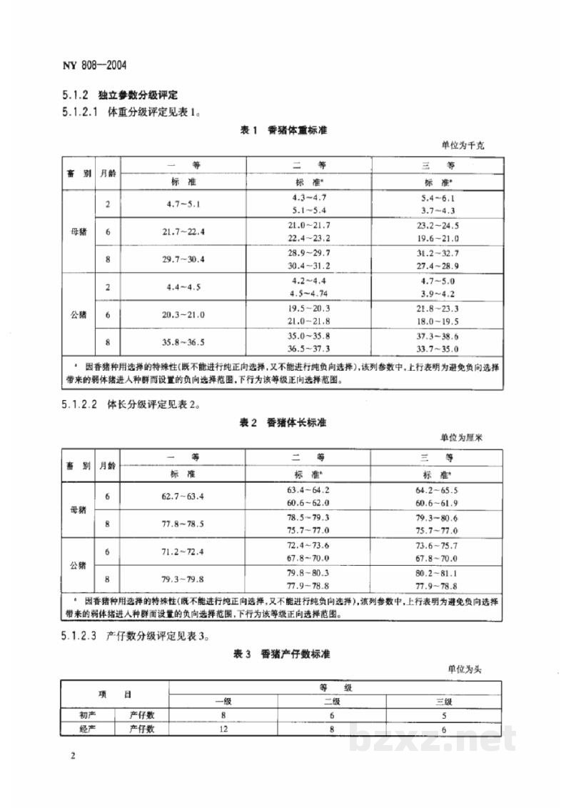 NY 808-2004香猪 NY 808-2004香猪