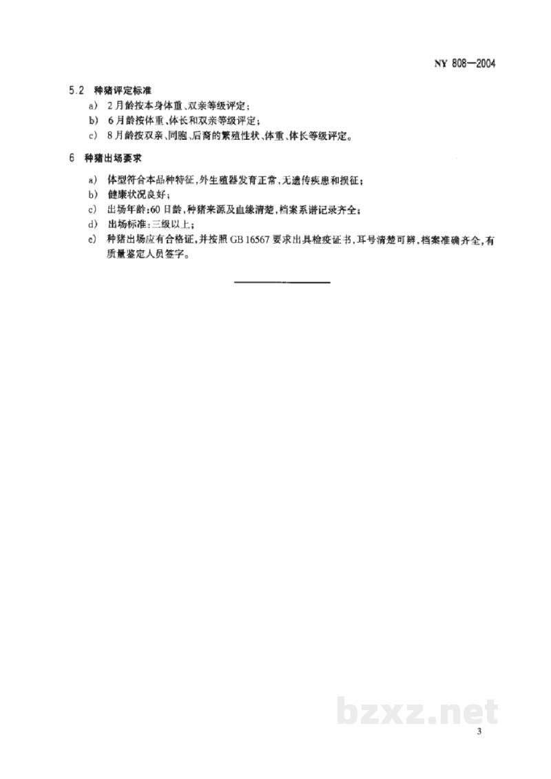 NY 808-2004香猪 NY 808-2004香猪