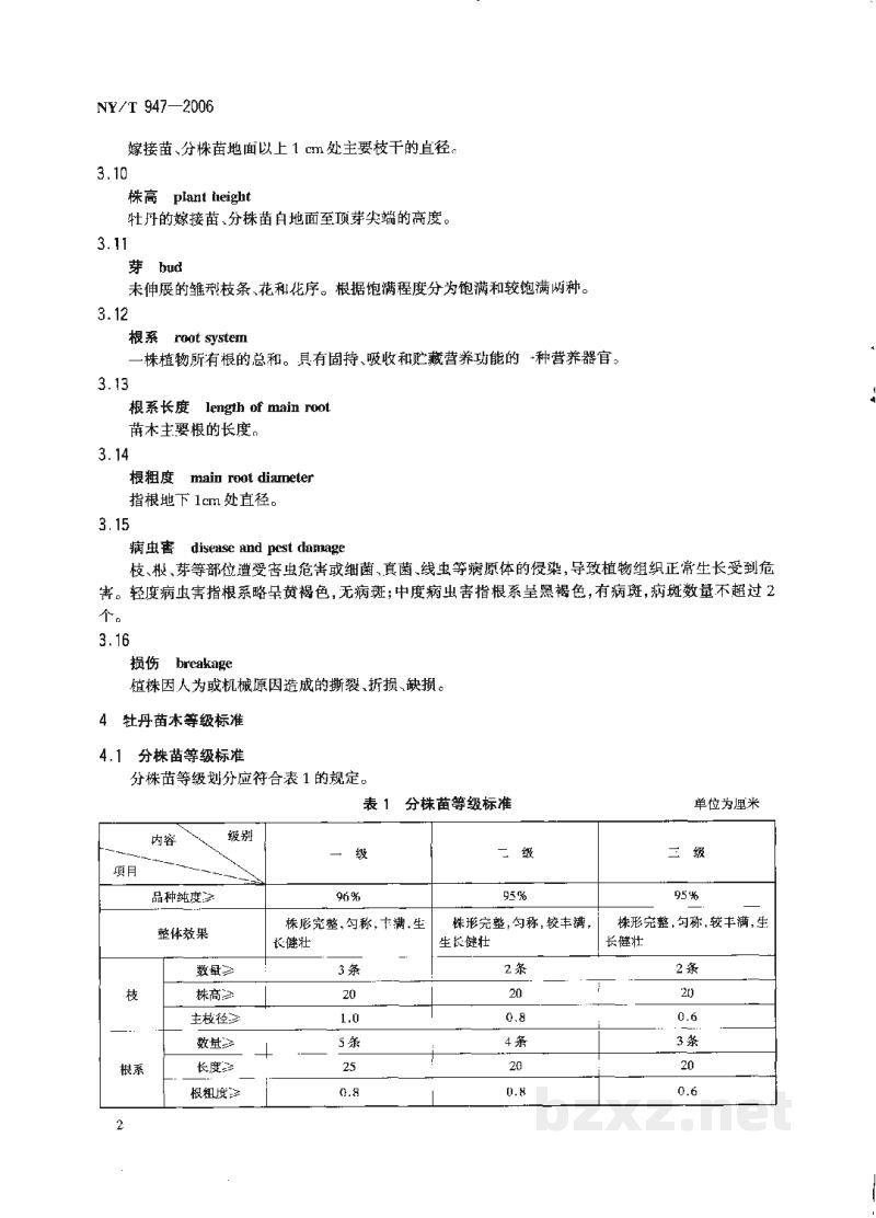 NY/T 947-2006牡丹苗木 NY/T 947-2006牡丹苗木