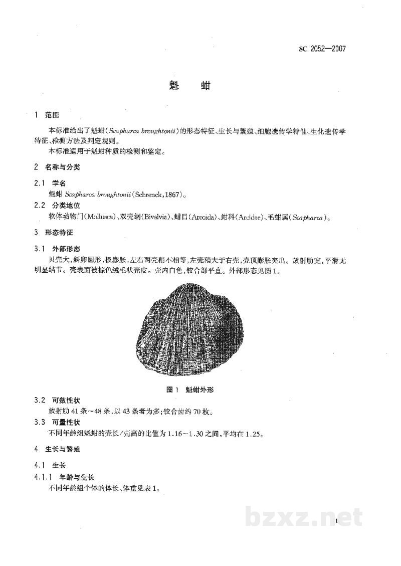 SC 2052-2007魁蚶 SC 2052-2007魁蚶