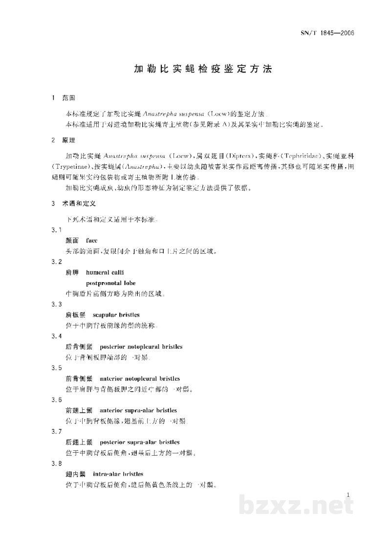 SN/T 1845-2006加勒比实蝇检疫鉴定方法 SN/T 1845-2006加勒比实蝇检疫鉴定方法