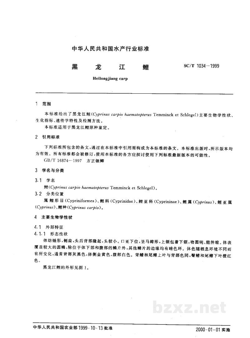 SC/T 1034-1999黑龙江鲤 SC/T 1034-1999黑龙江鲤