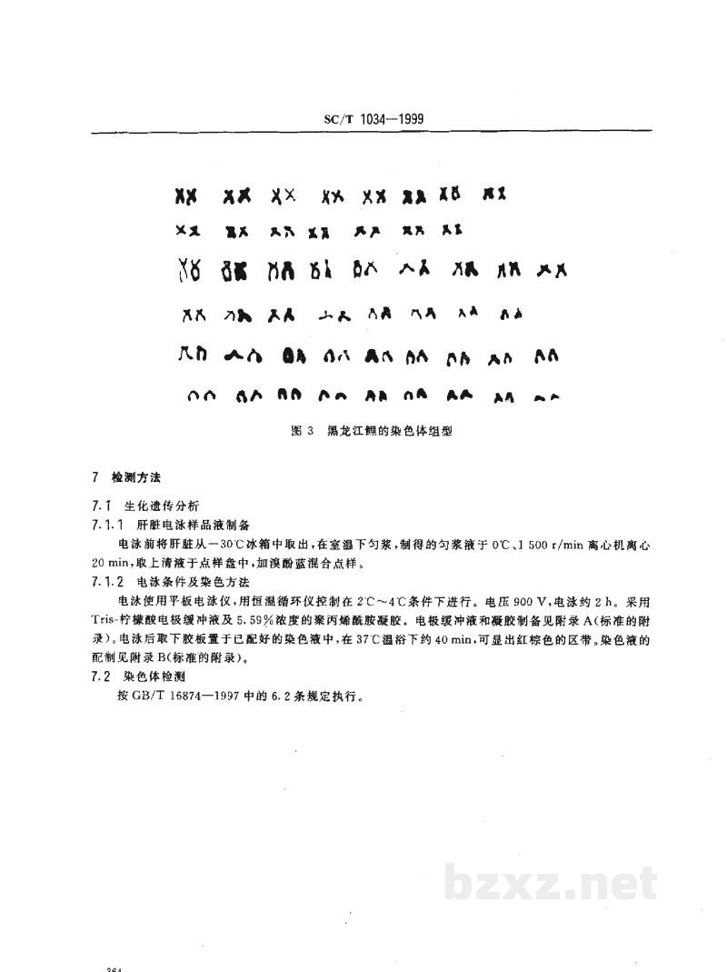 SC/T 1034-1999黑龙江鲤 SC/T 1034-1999黑龙江鲤