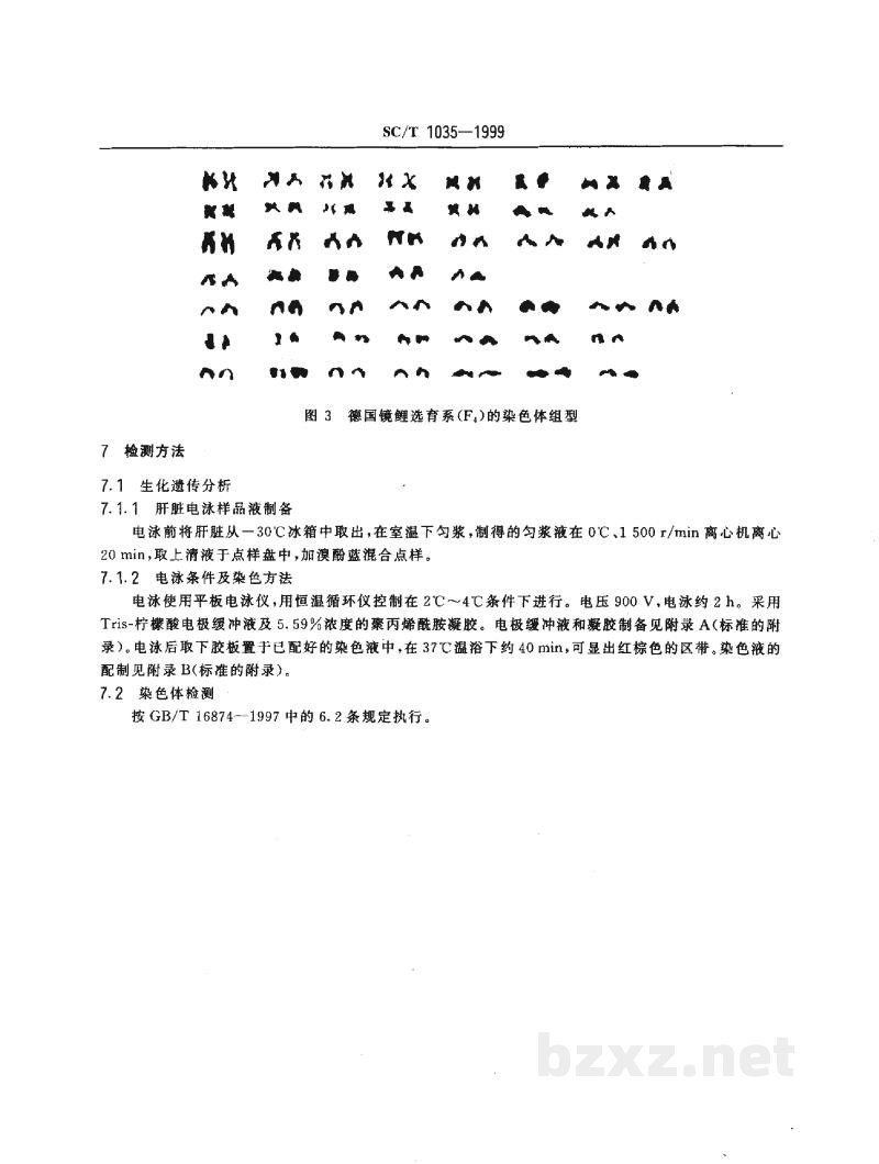 SC/T 1035-1999德国镜鲤选育系(F4) SC/T 1035-1999德国镜鲤选育系(F4)