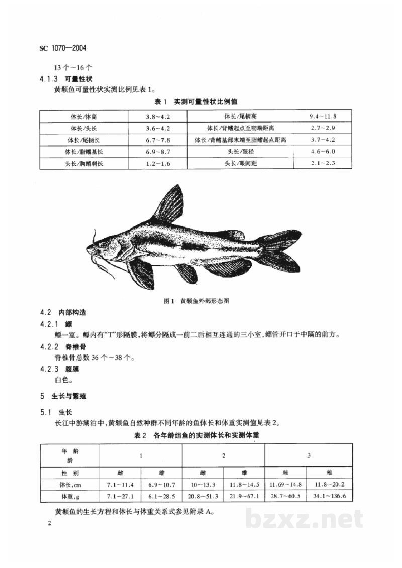 SC 1070-2004黄颡鱼 SC 1070-2004黄颡鱼
