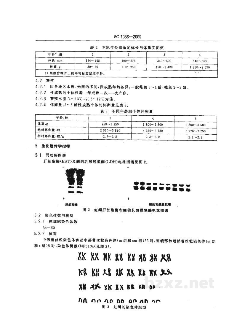 SC 1036-2000虹鳟 SC 1036-2000虹鳟