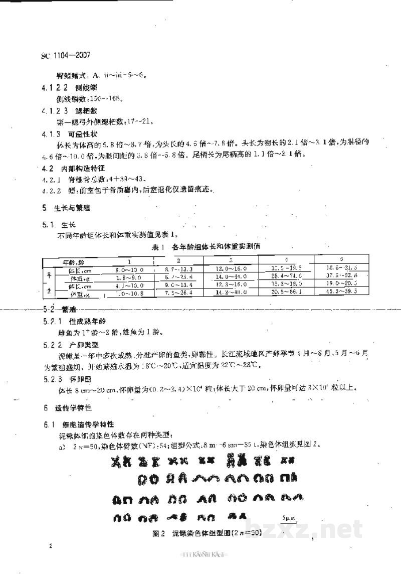 SC 1104-2007泥鳅