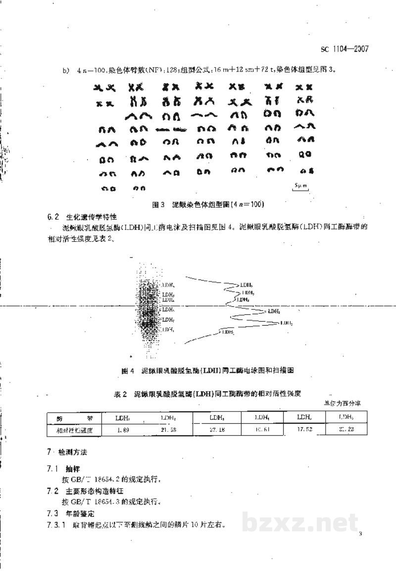 SC 1104-2007泥鳅