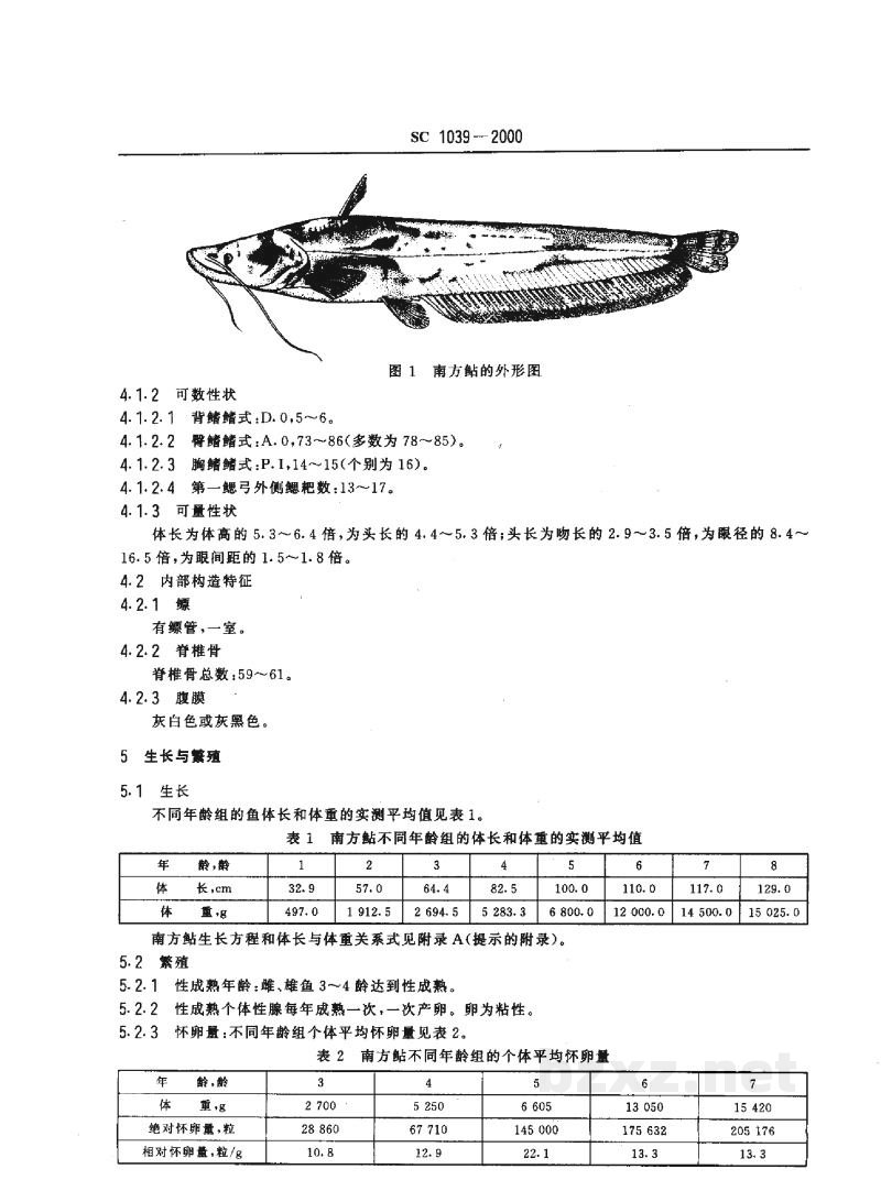 SC 1039-2000南方鲇 SC 1039-2000南方鲇