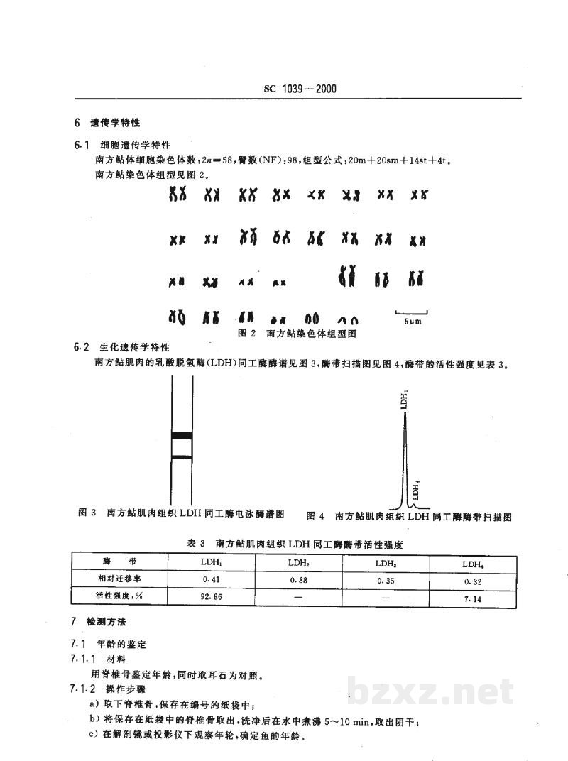 SC 1039-2000南方鲇 SC 1039-2000南方鲇