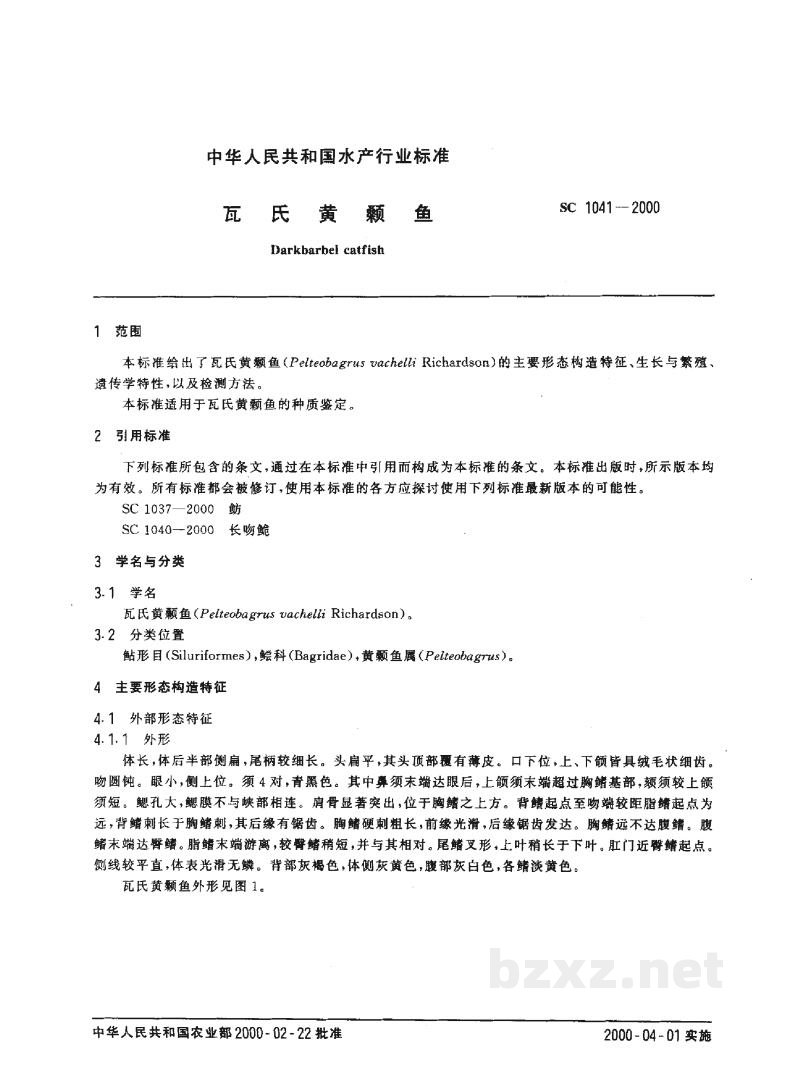 SC 1041-2000瓦氏黄颡鱼 SC 1041-2000瓦氏黄颡鱼