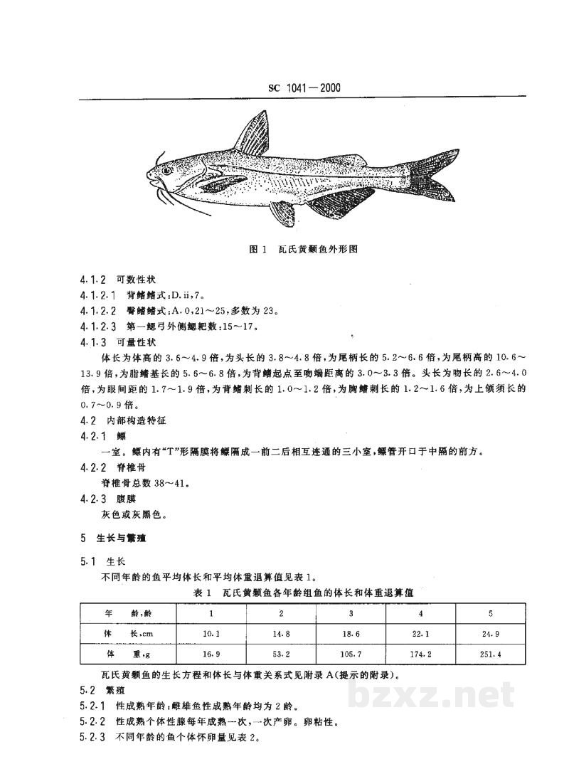 SC 1041-2000瓦氏黄颡鱼 SC 1041-2000瓦氏黄颡鱼