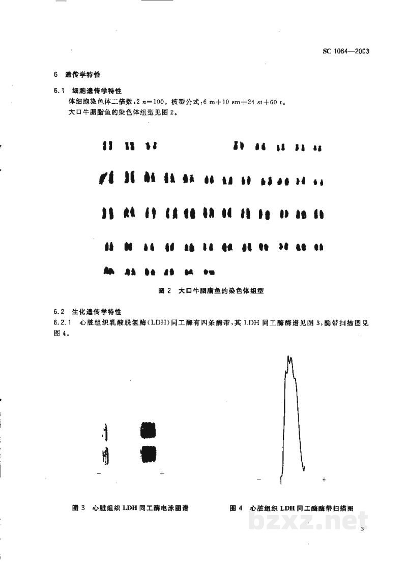 SC 1064-2003大口牛胭脂鱼 SC 1064-2003大口牛胭脂鱼