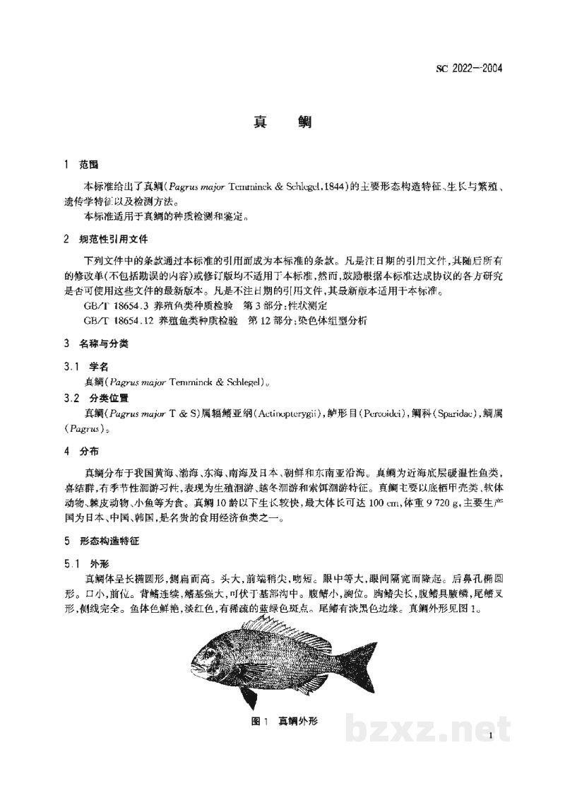 SC 2022-2004真鲷