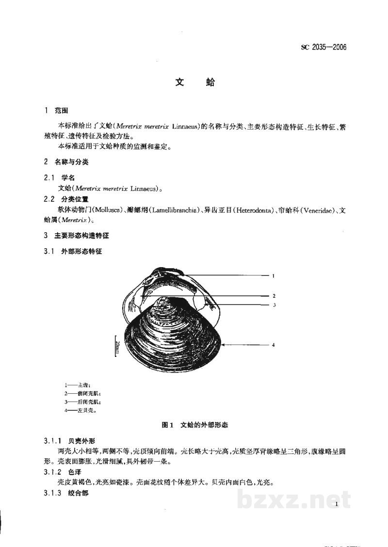 SC 2035-2006文蛤 SC 2035-2006文蛤