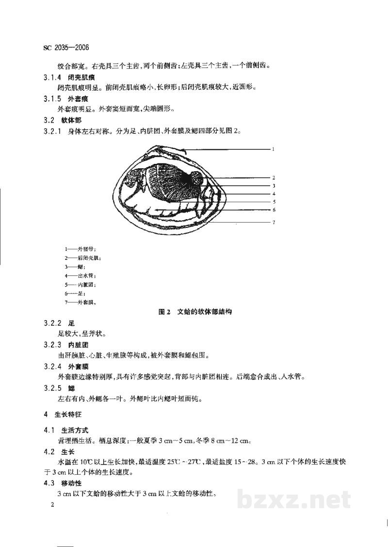 SC 2035-2006文蛤 SC 2035-2006文蛤