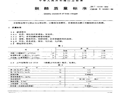 SB/T 10304-1999麸醋质量标准