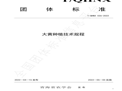 T/QHNX 026-2022大黄种植技术规程