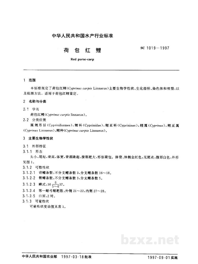 SC/T 1019-1997荷包红鲤 SC/T 1019-1997荷包红鲤