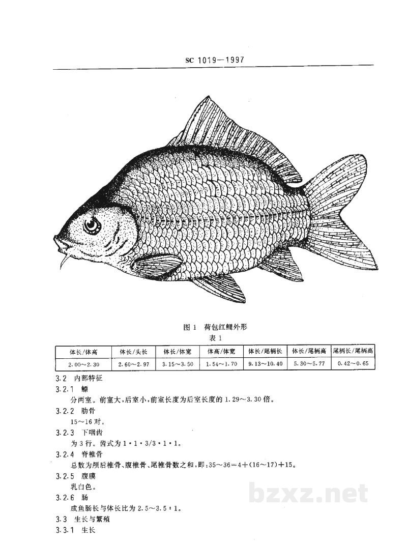 SC/T 1019-1997荷包红鲤 SC/T 1019-1997荷包红鲤