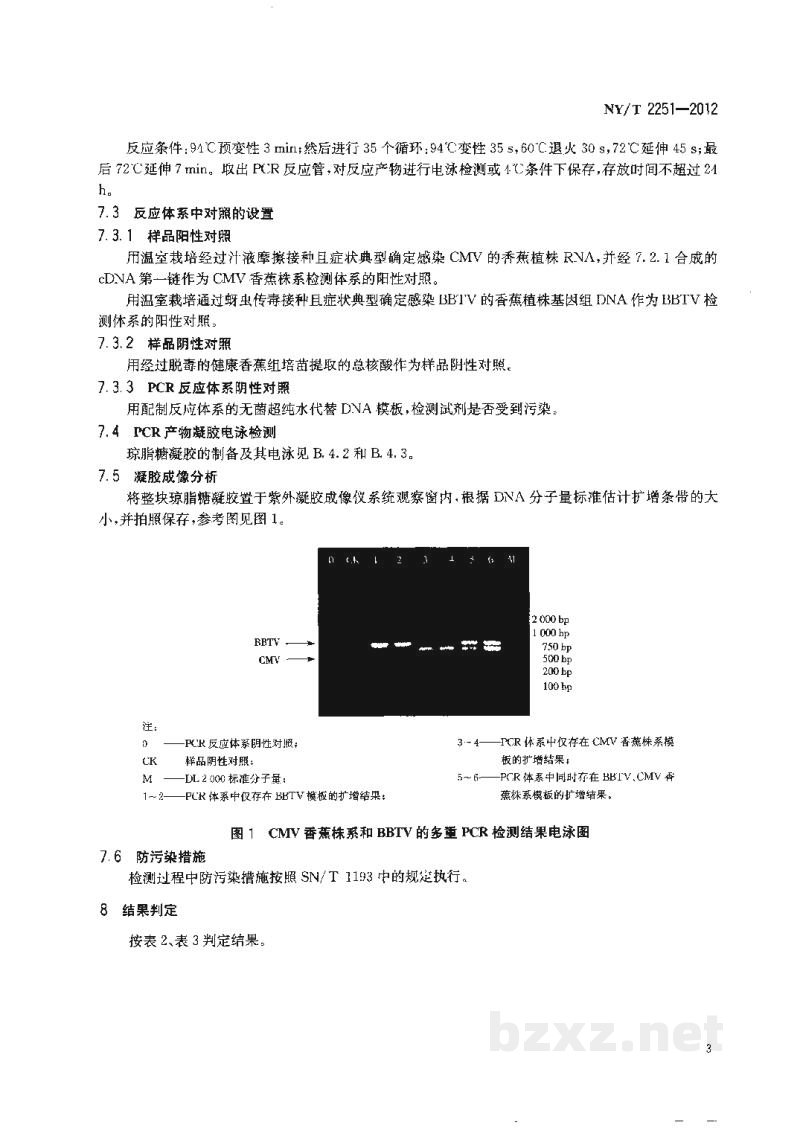 NY/T 2251-2012香蕉花叶心腐病和束顶病病原分子检测技术规范 NY/T 2251-2012香蕉花叶心腐病和束顶病病原分子检测技术规范