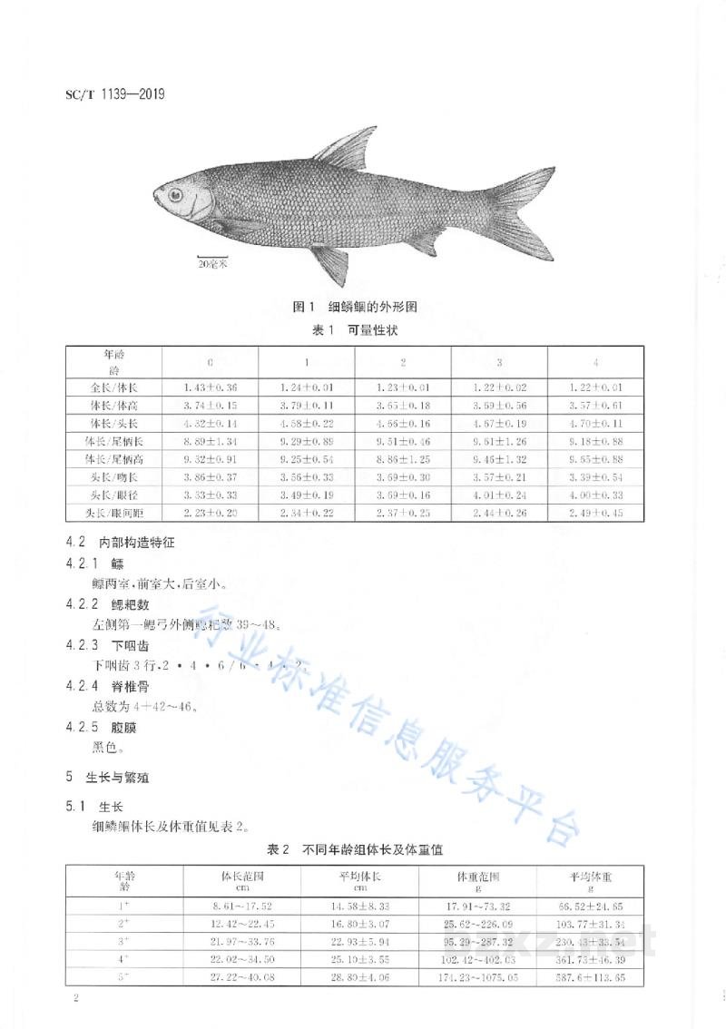 SC/T 1139-2019细鳞鲴 SC/T 1139-2019细鳞鲴