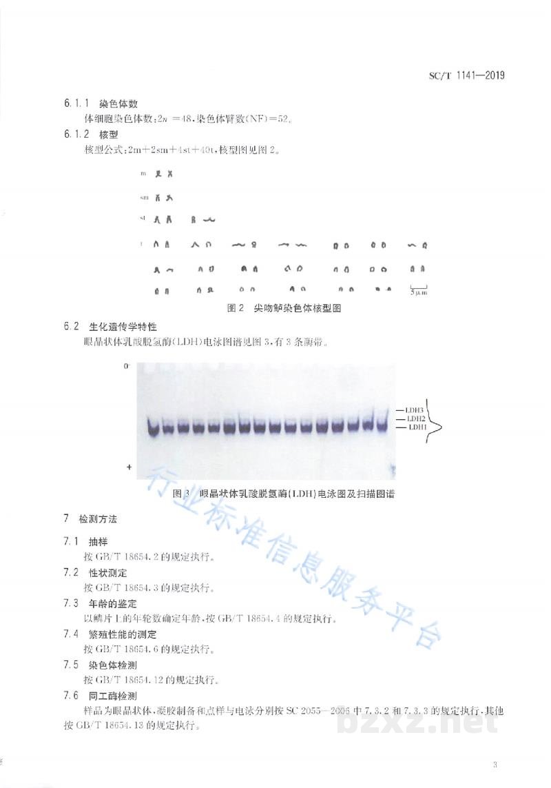SC/T 1141-2019尖吻鲈 SC/T 1141-2019尖吻鲈