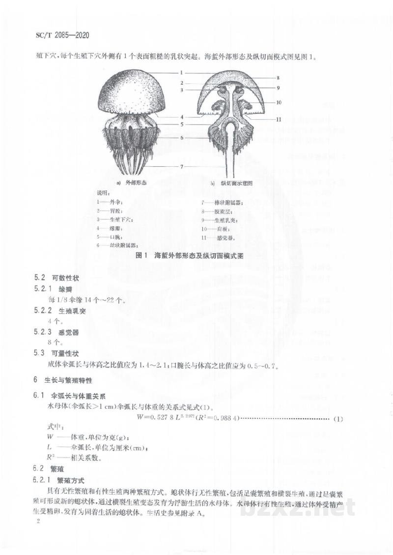 SC/T 2085-2020海蜇 SC/T 2085-2020海蜇