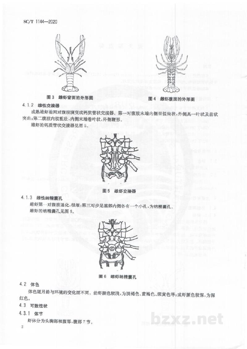 SC/T 1144-2020克氏原螯虾 SC/T 1144-2020克氏原螯虾