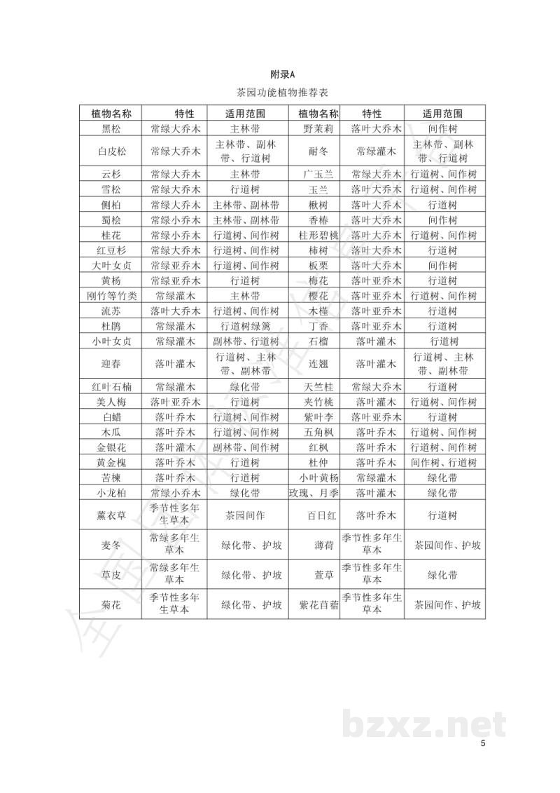T/RZCX 003-2022日照茶园规划建设规范