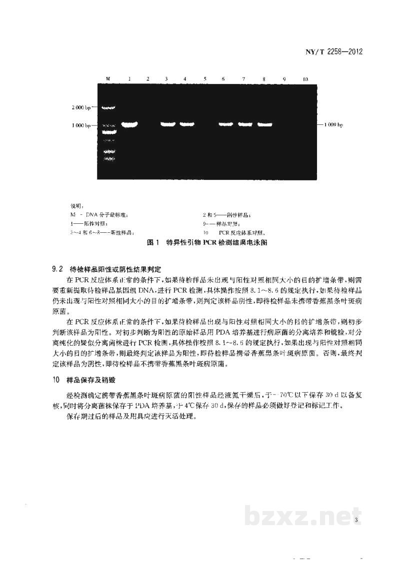 NY/T 2258-2012香蕉黑条叶斑病原菌分子检测技术规范 NY/T 2258-2012香蕉黑条叶斑病原菌分子检测技术规范