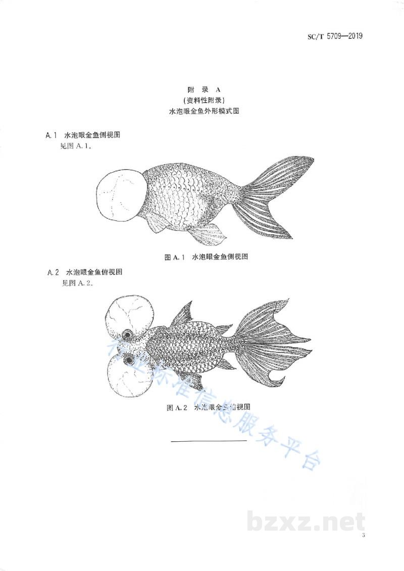 SC/T 5709-2019金鱼分级水泡眼